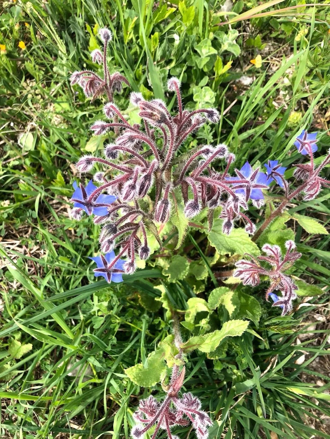 Image 1.jpeg
