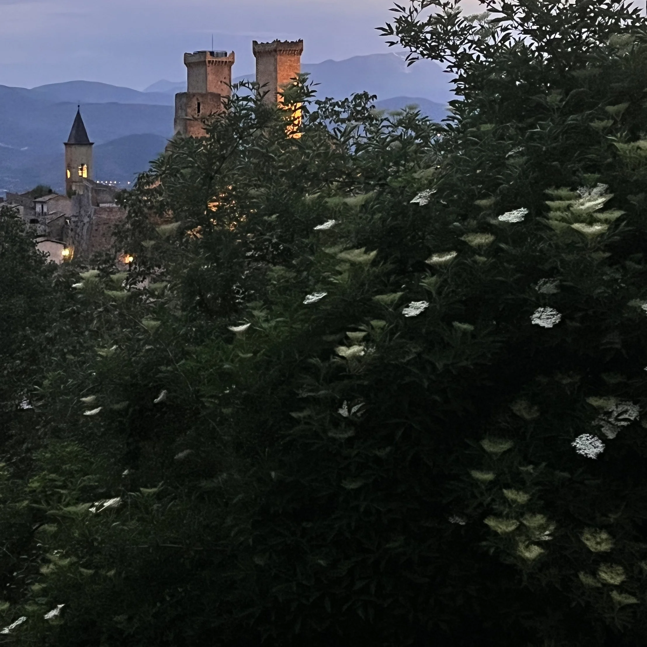 IMG_6101.jpeg