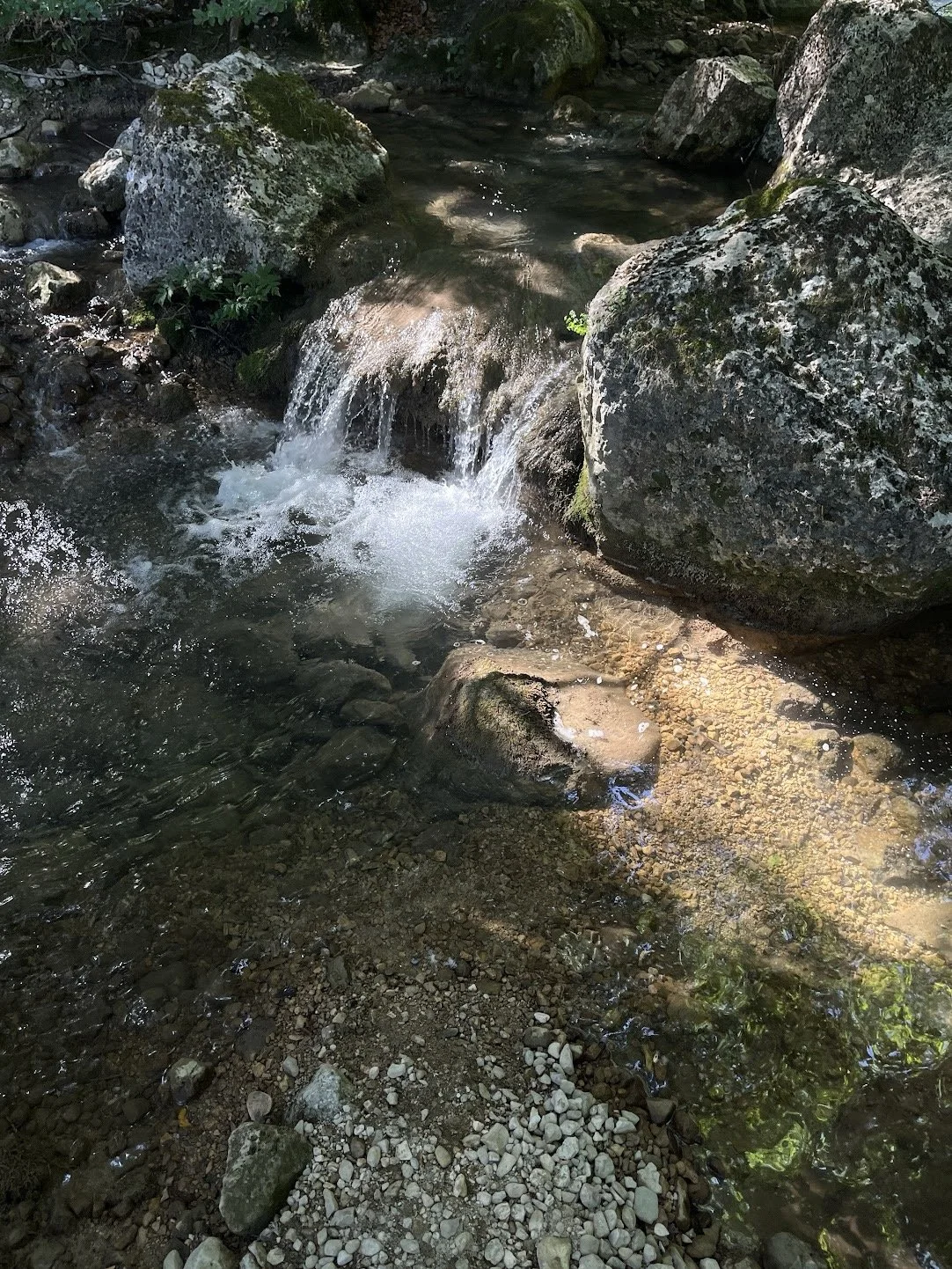 Image 11.jpeg