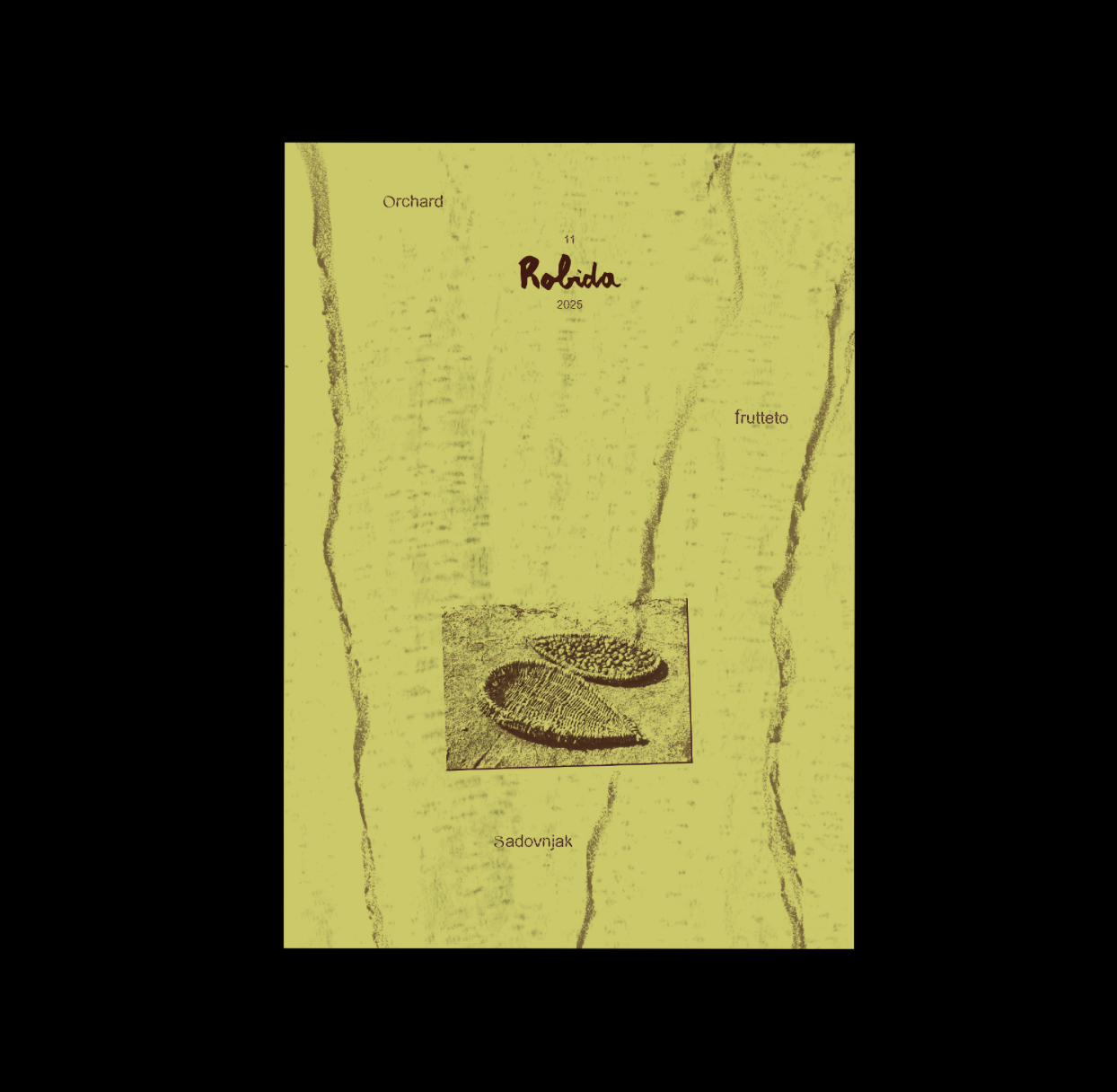 setteuarciate substack