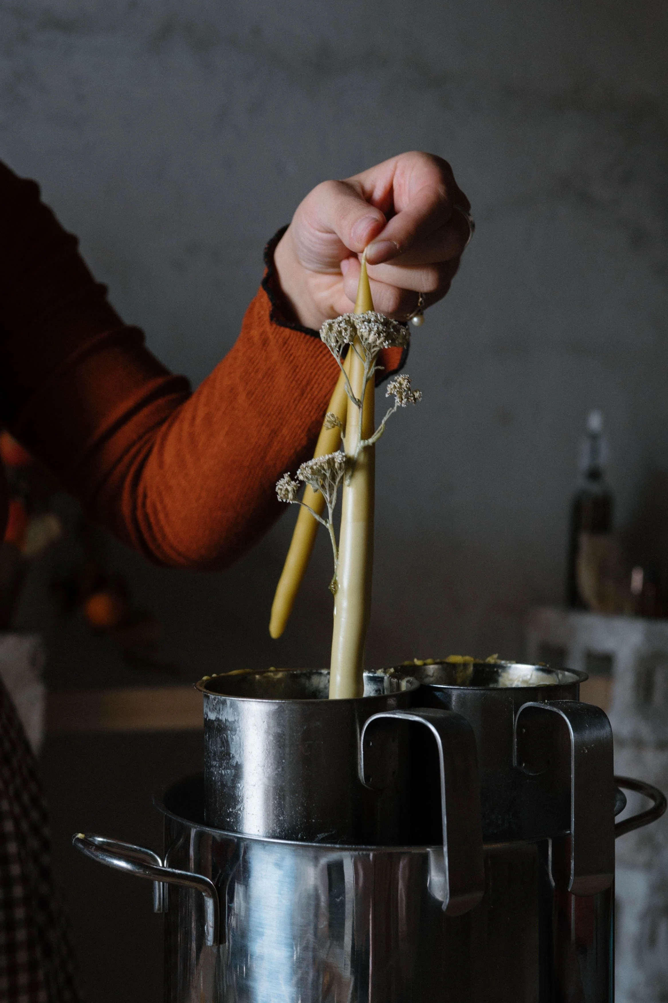 setteuarciate substack