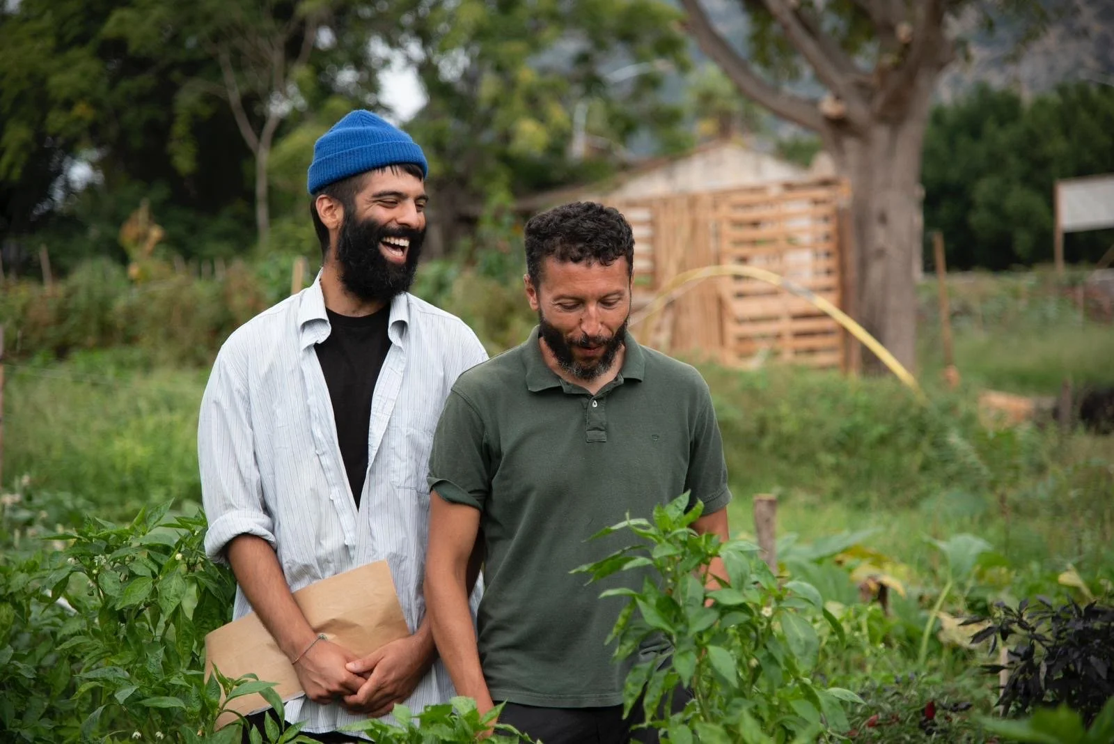 setteuarciate substack