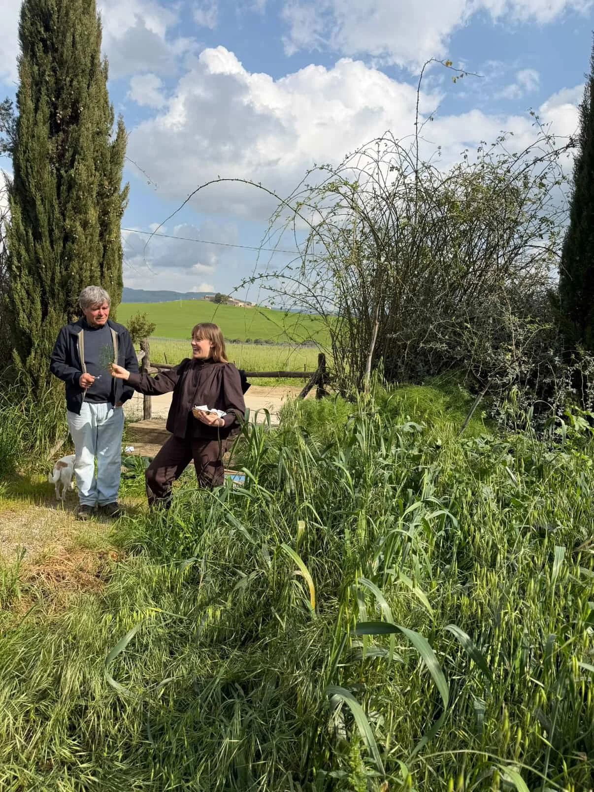 Biodiversity of an island: Cook the Farm 2026