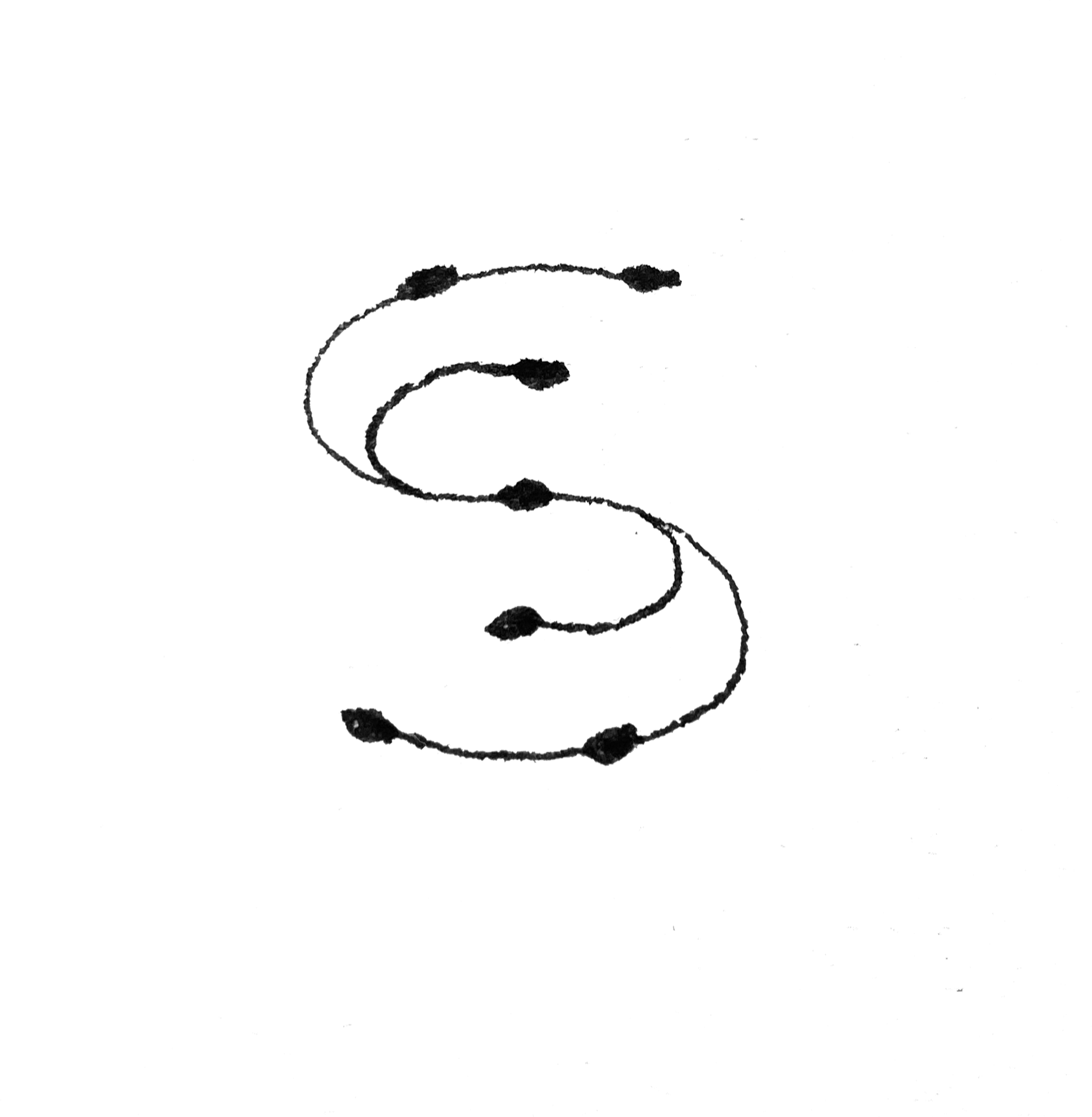 setteuarciate substack