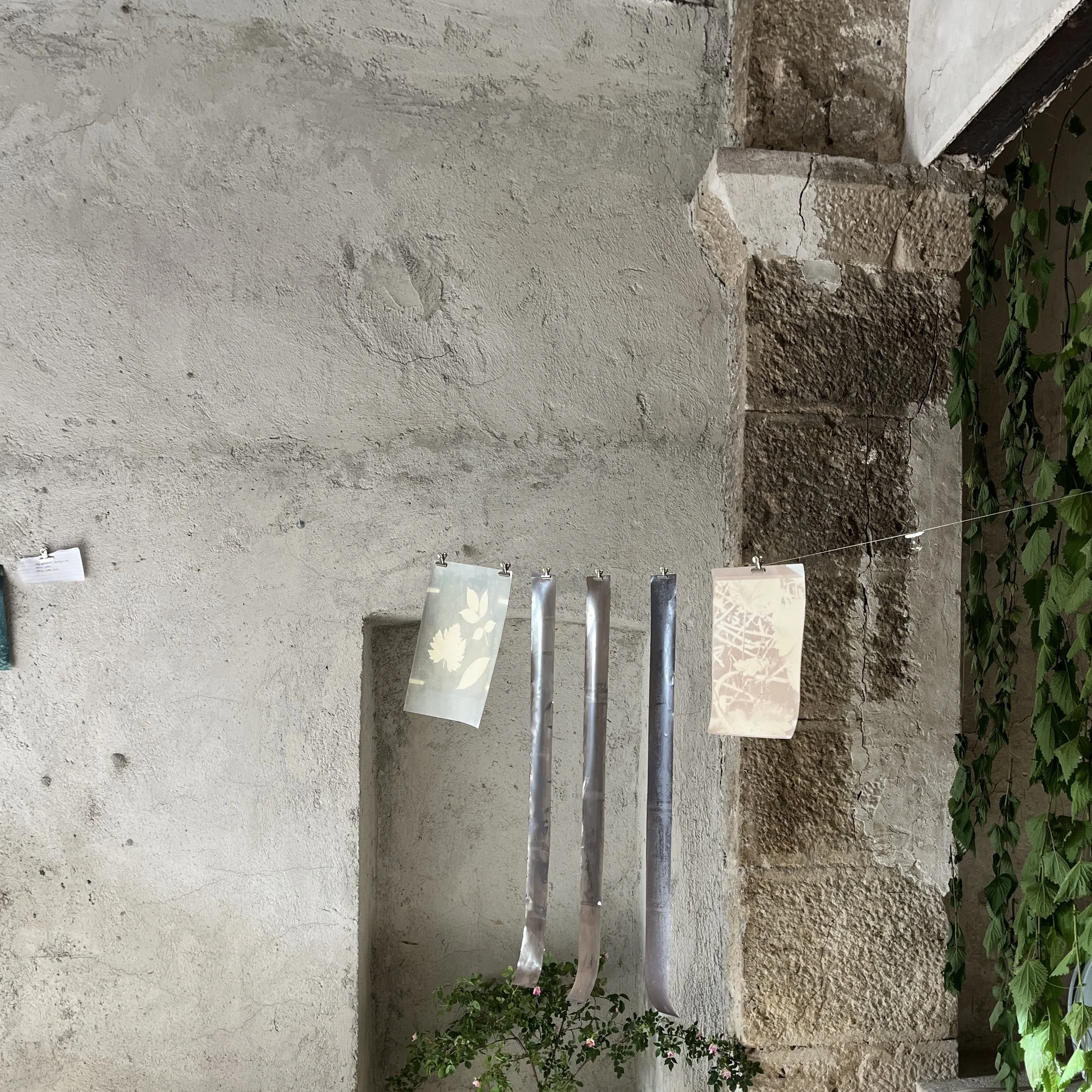 IMG_2783.jpeg