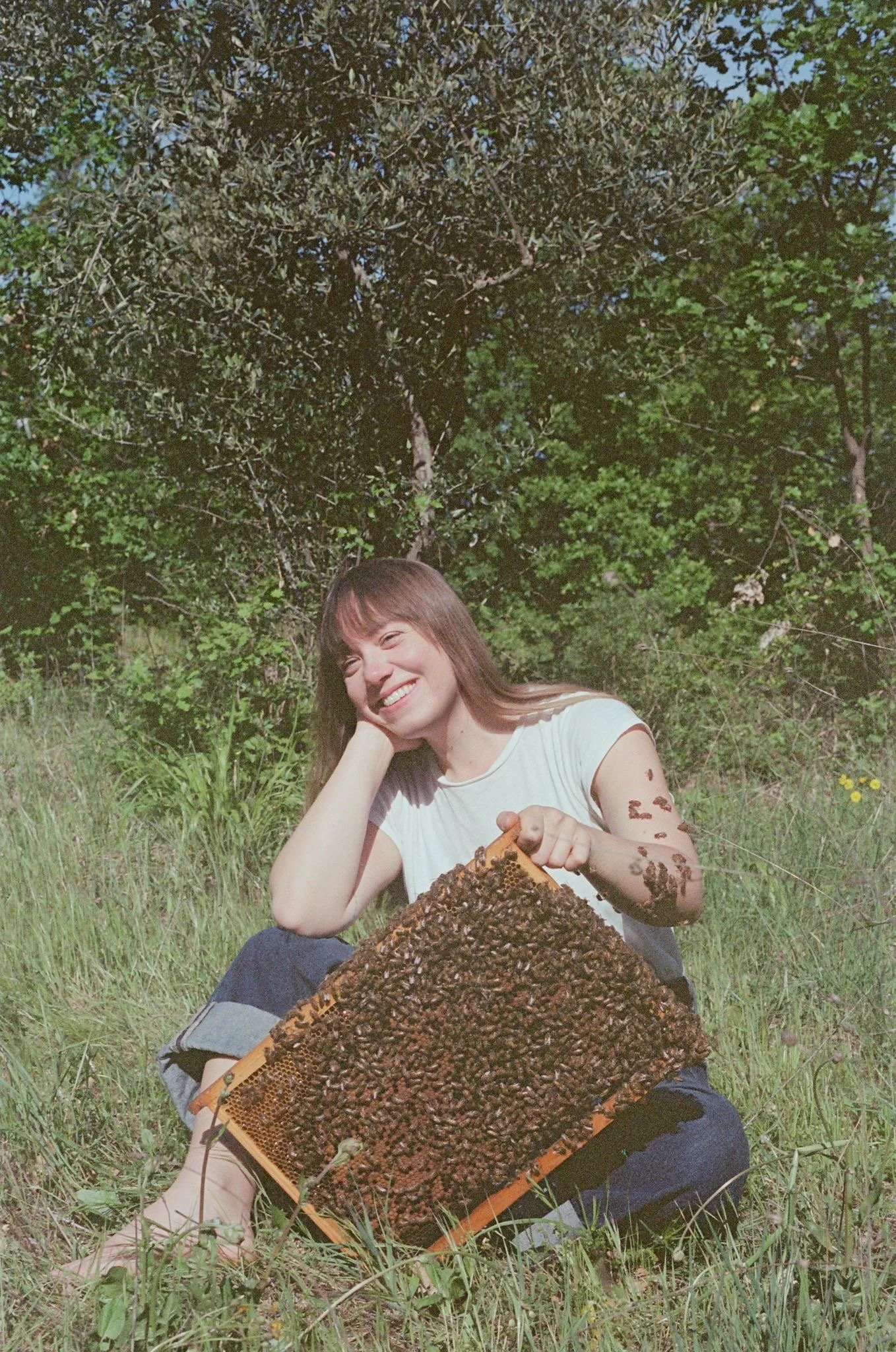 Beekeeping workshop