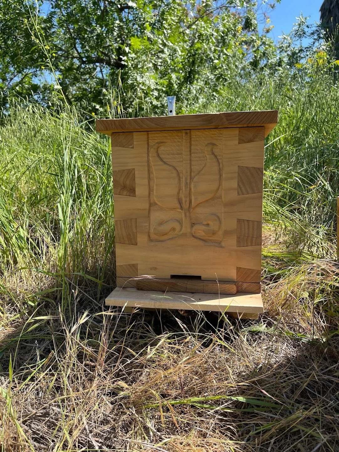 beekeeping workshops