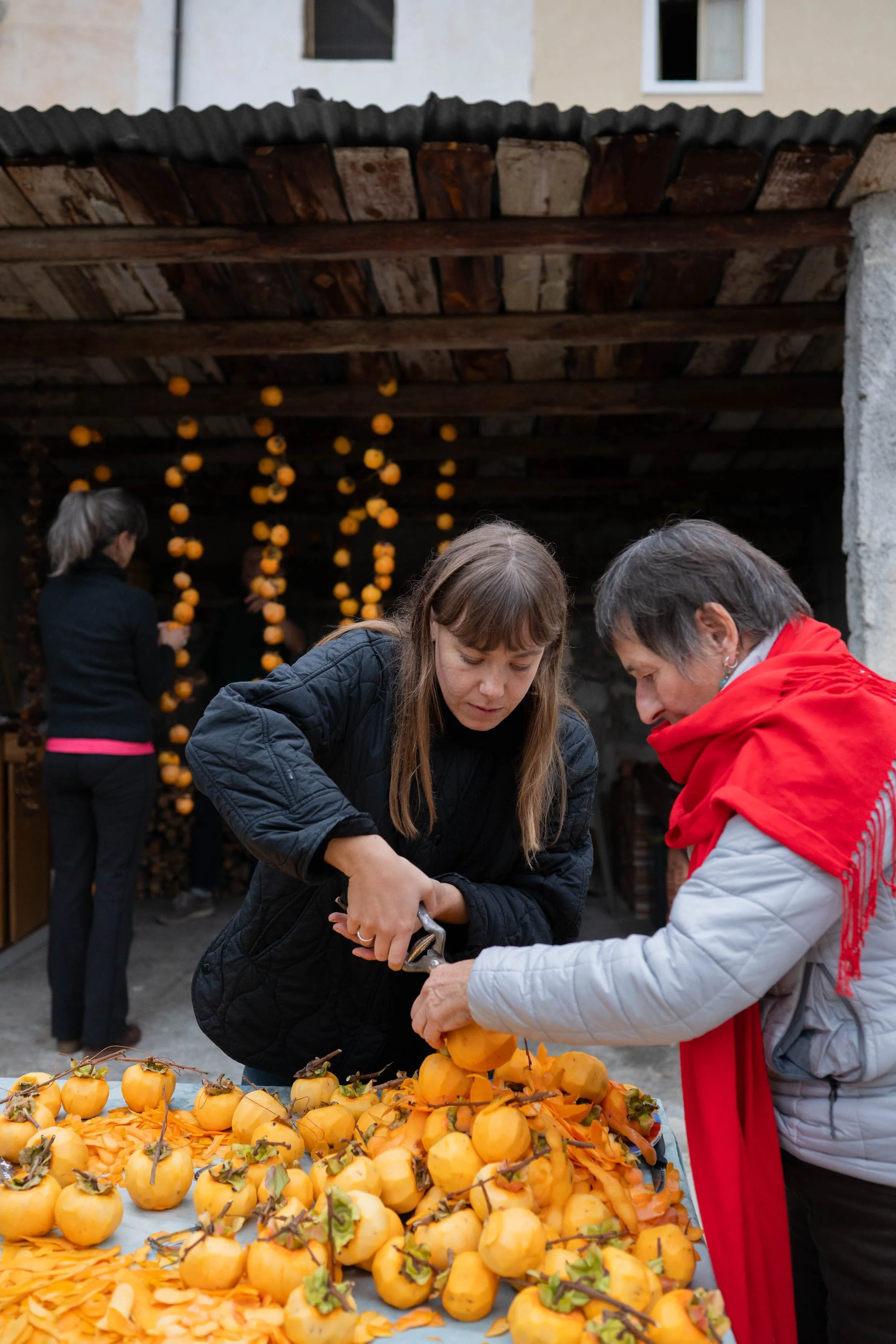 pleasure of preserving 