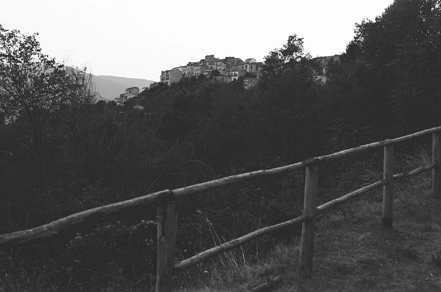 Image 1.jpeg