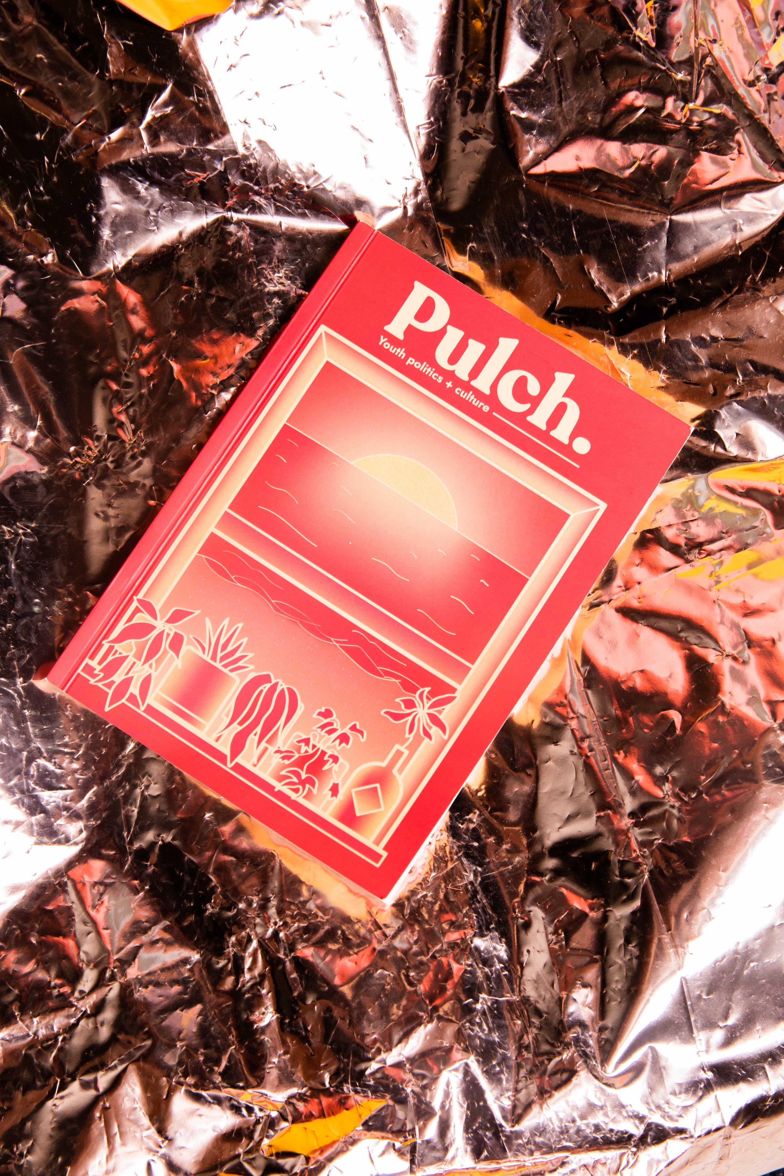 PULCH_COVER PROMO-6.jpg