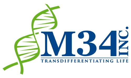 M34 Inc.