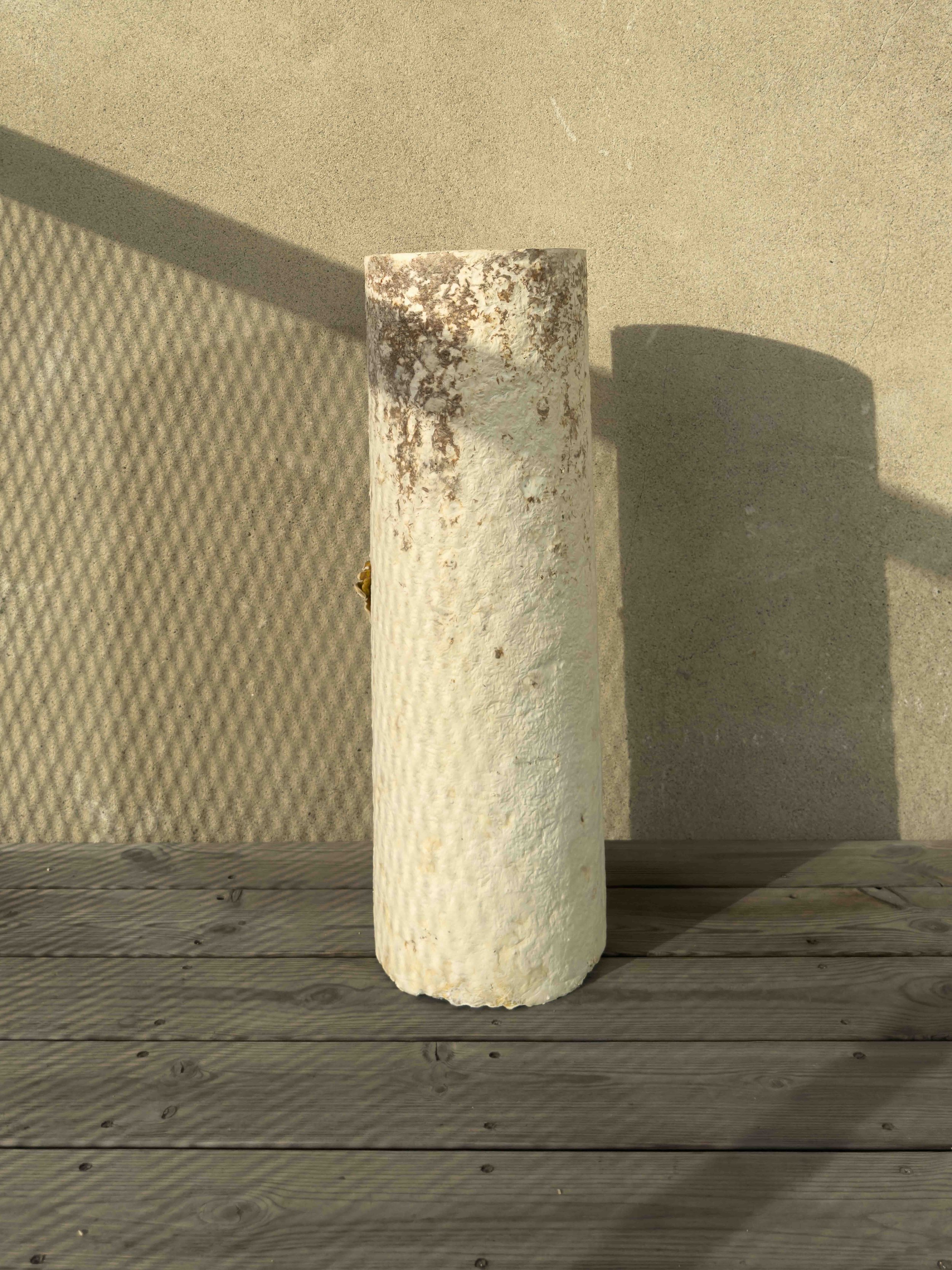Design_PEDESTAL 1_mycelium_fungi furniture_2.jpeg