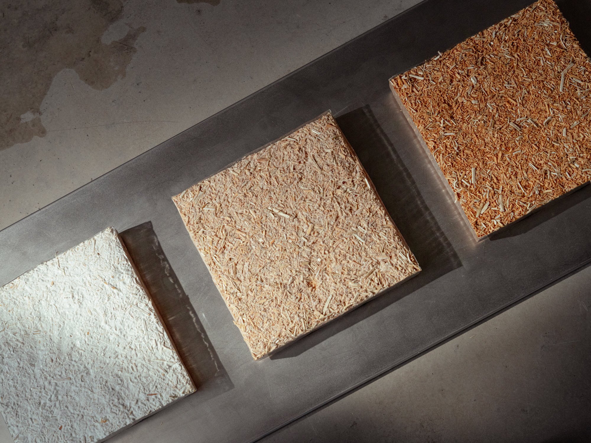 Growth stages of the ACOUSTIC PANELS
Image: Linda Deutsch