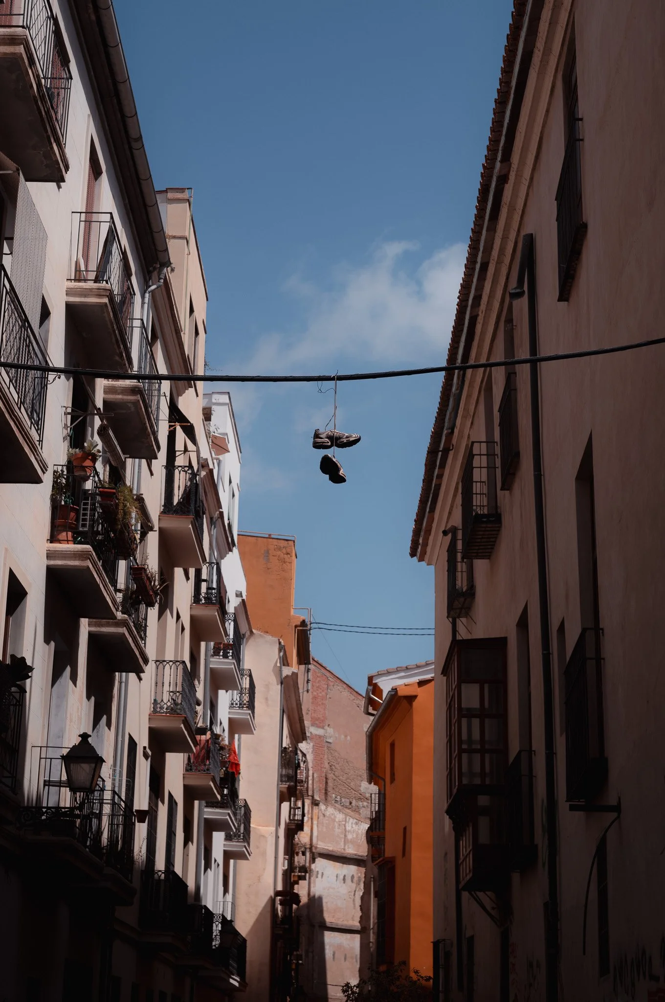 L1005409.jpg
