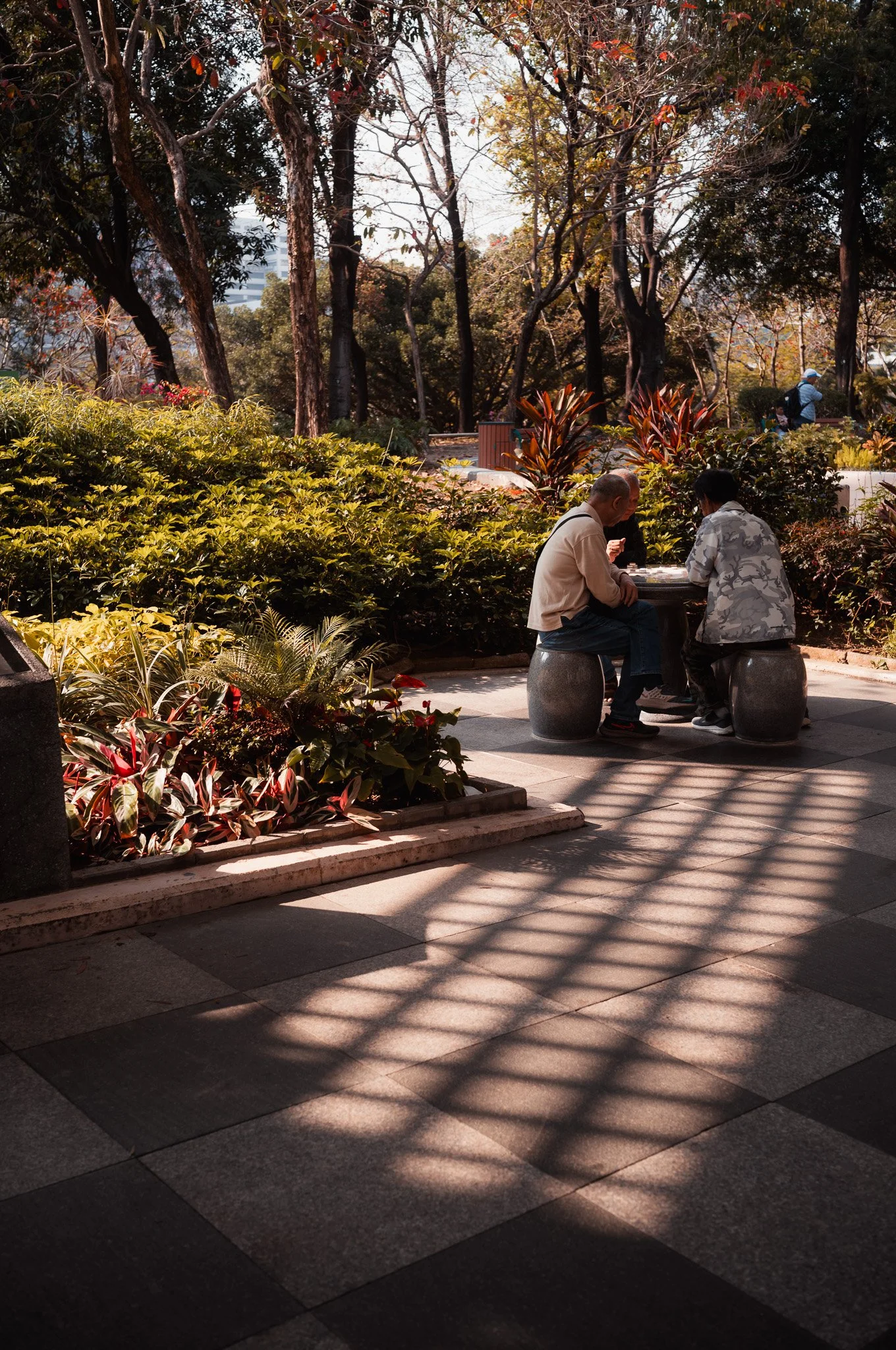 L1009393.jpg
