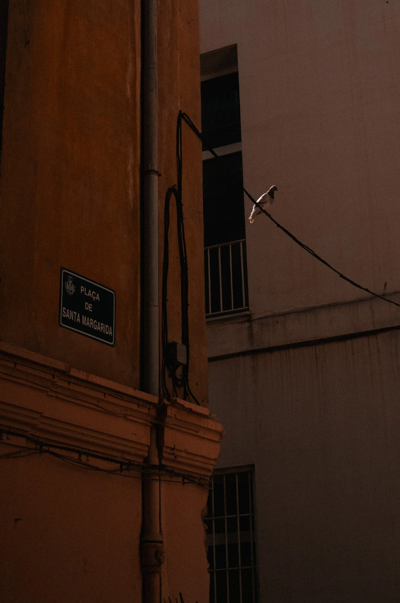 L1005636.jpg