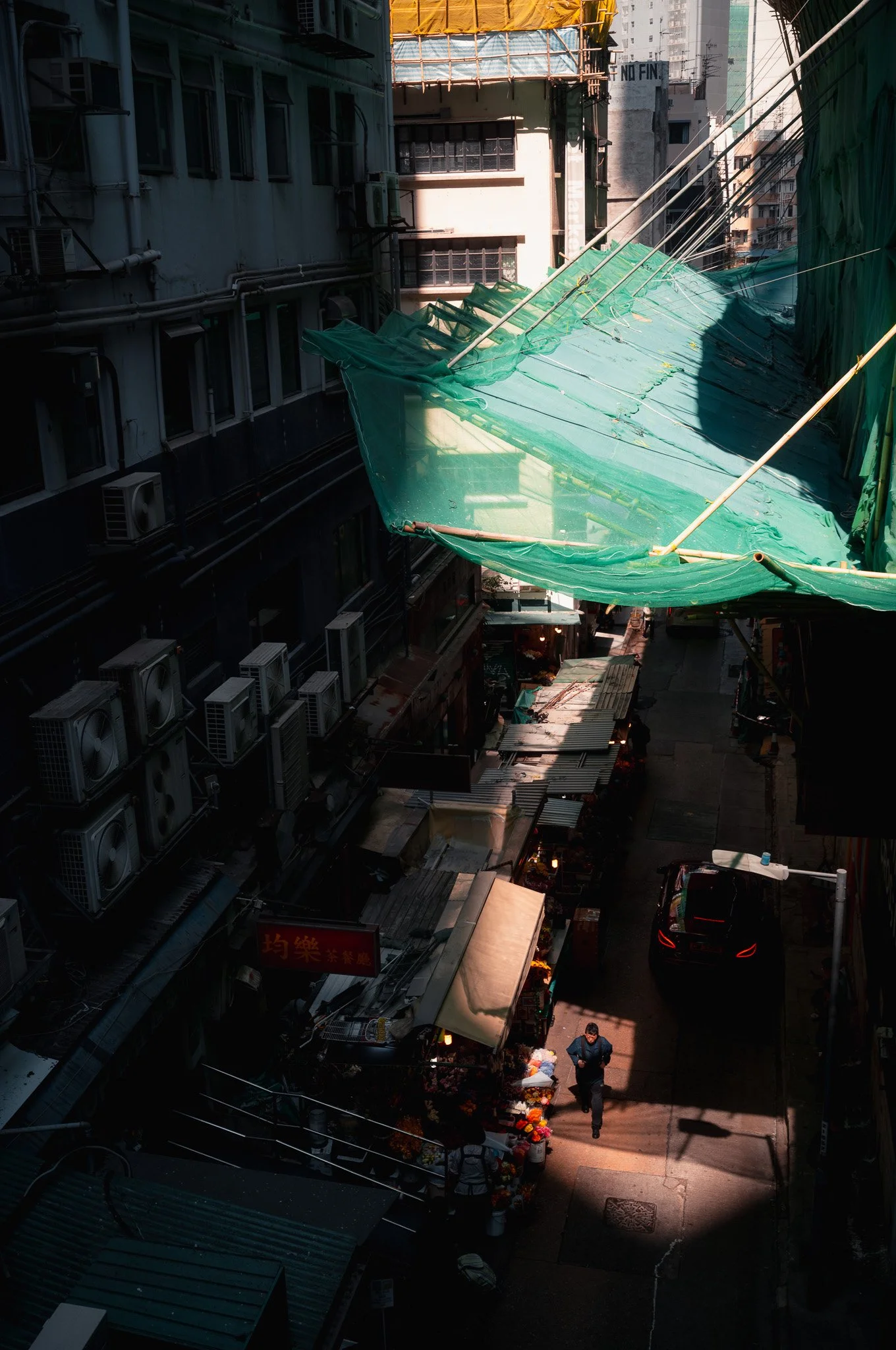 L1009244.jpg