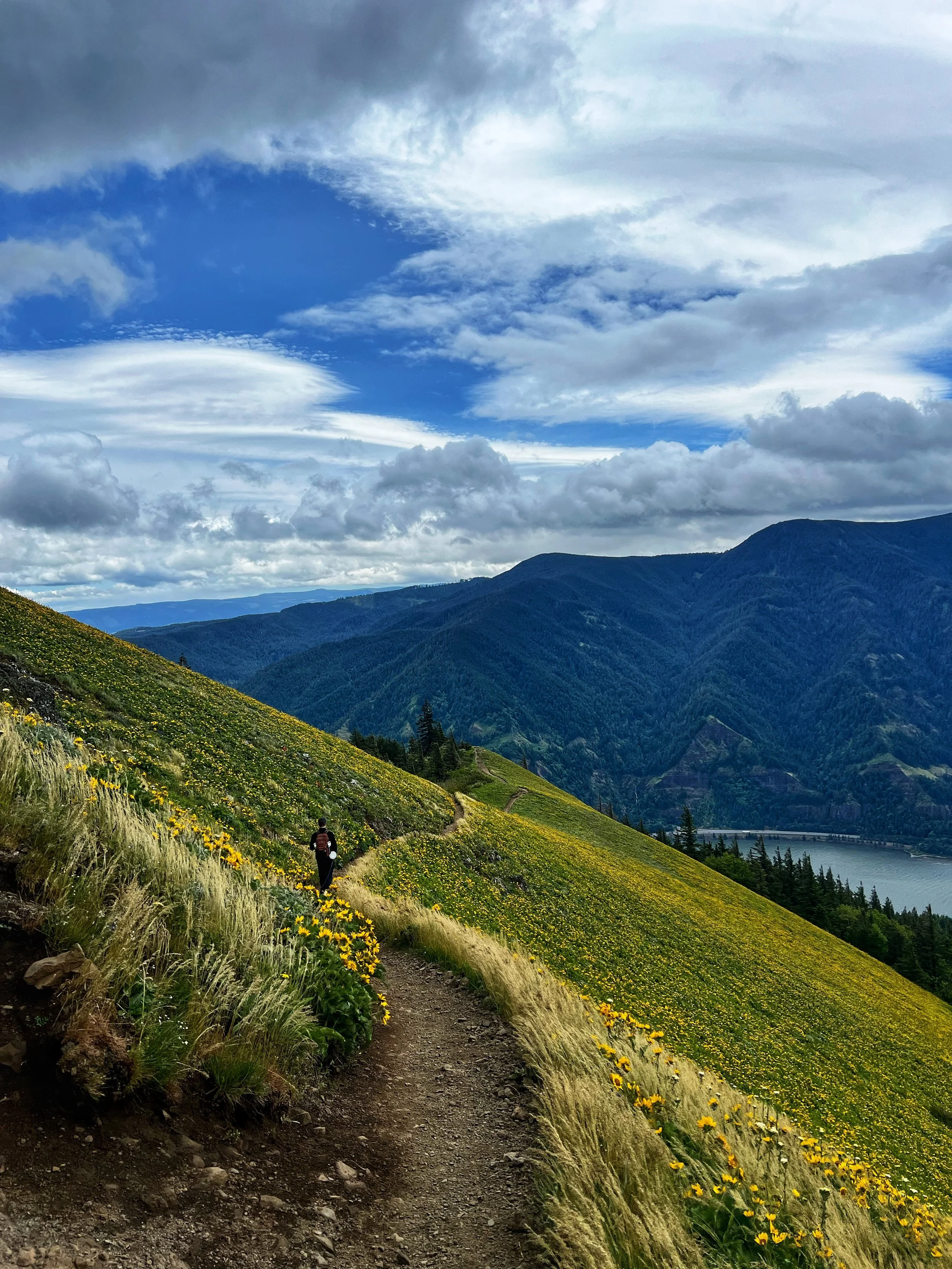 A person hiking on a narrow dirt trail on a hillside covered with yellow wildflowers, with mountains, trees, a large lake, and clouds in the sky in the background.