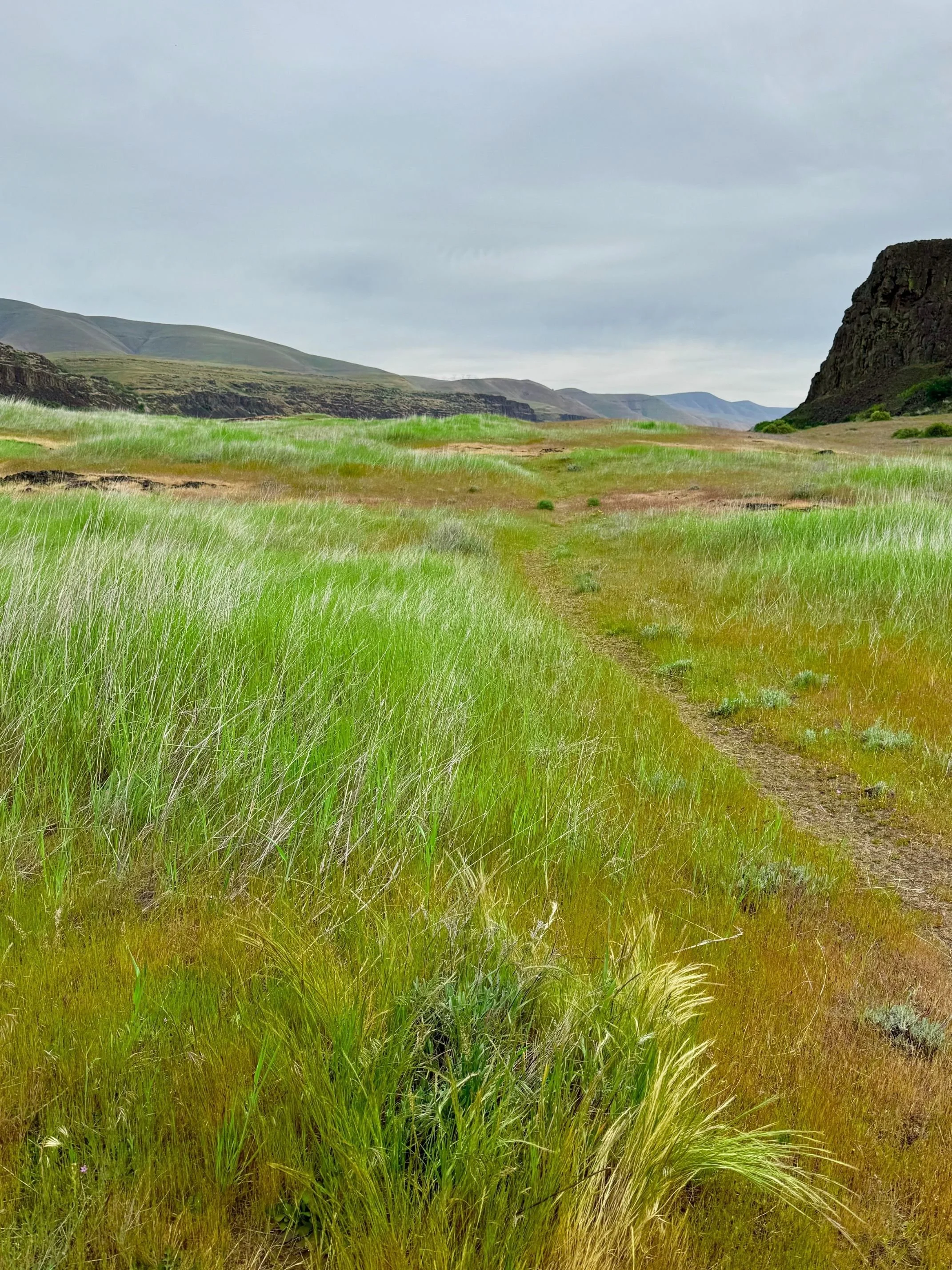 Scenic view of green grassy fields with rolling hills and cliffs under a cloudy sky.