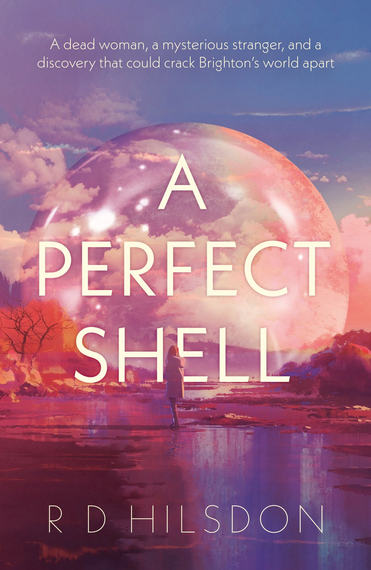 A Perfect Shell by R D Hilsdon cover image