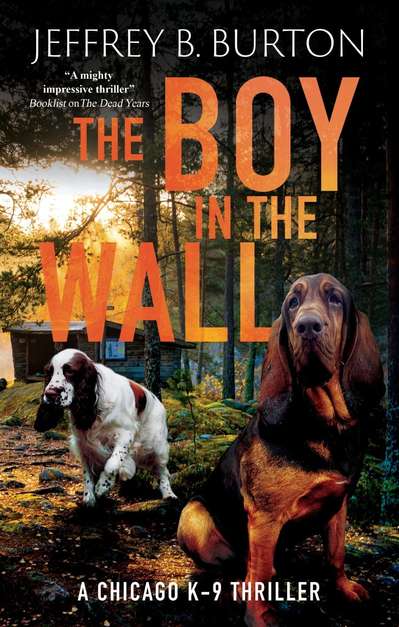 Cover image of The Boy in the Wall by Jeffrey B. Burton. Text reads 'A Chicago K-9 Thriller'.