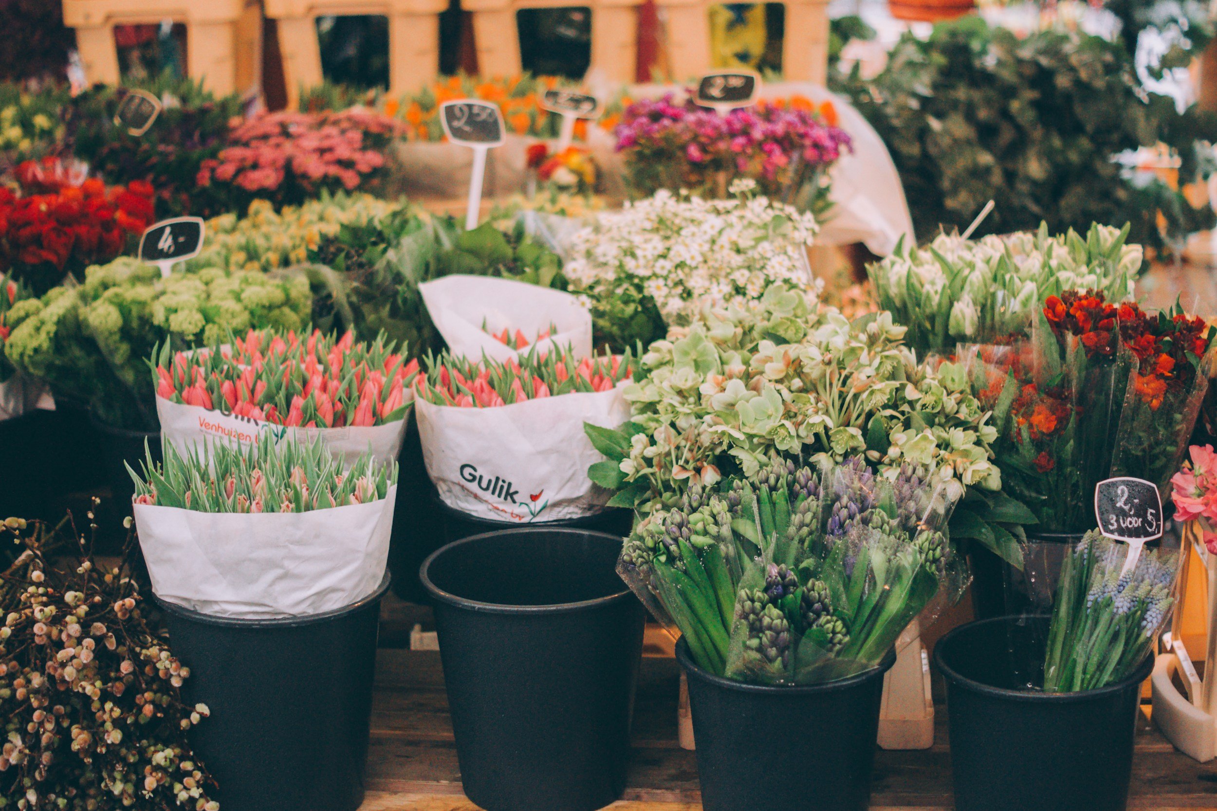 A display of various potted flowers at a market, including tulips, roses, mums, and other colorful blooms, with small price tags on some plants.