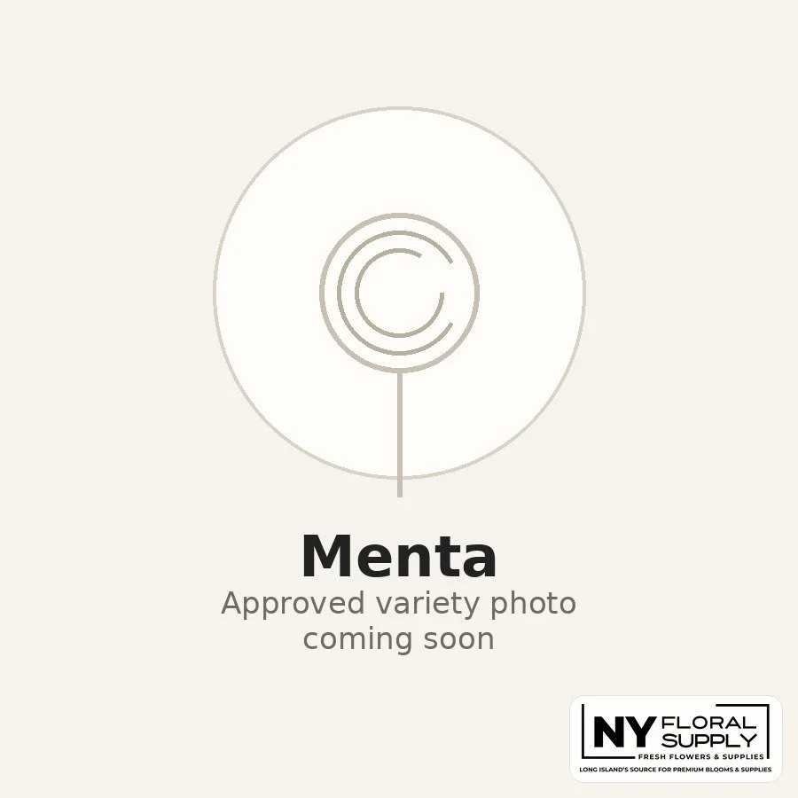 menta.jpg