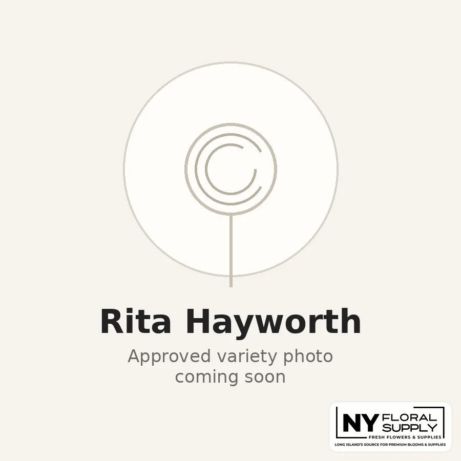 rita-hayworth.jpg