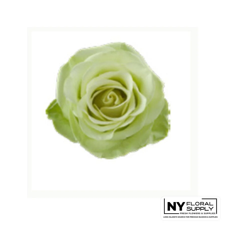 green-romance.jpg