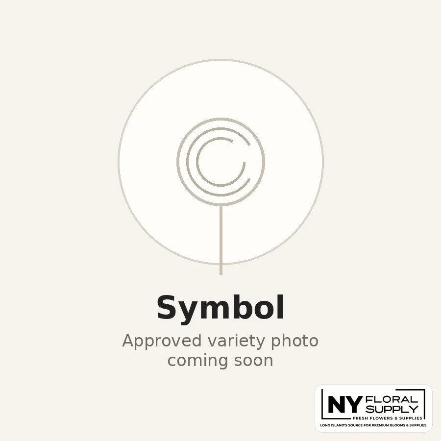 symbol.jpg