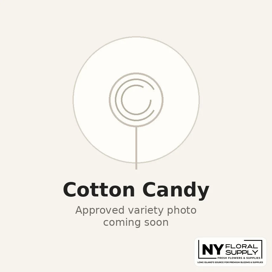 cotton-candy.jpg
