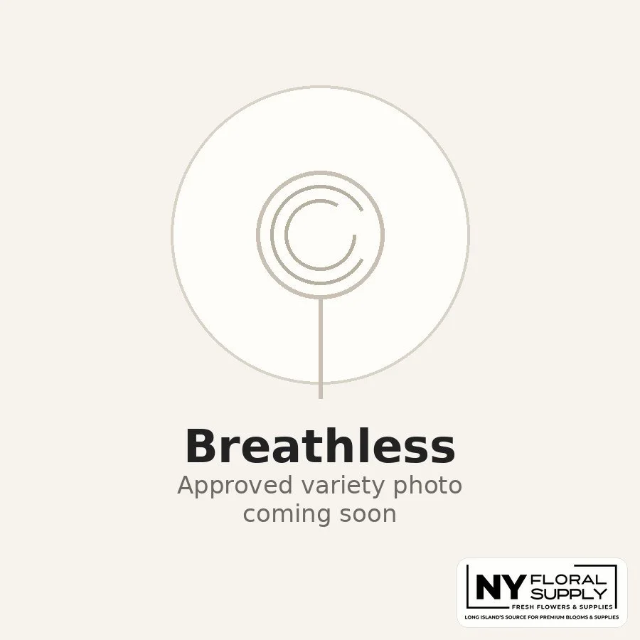 breathless.jpg