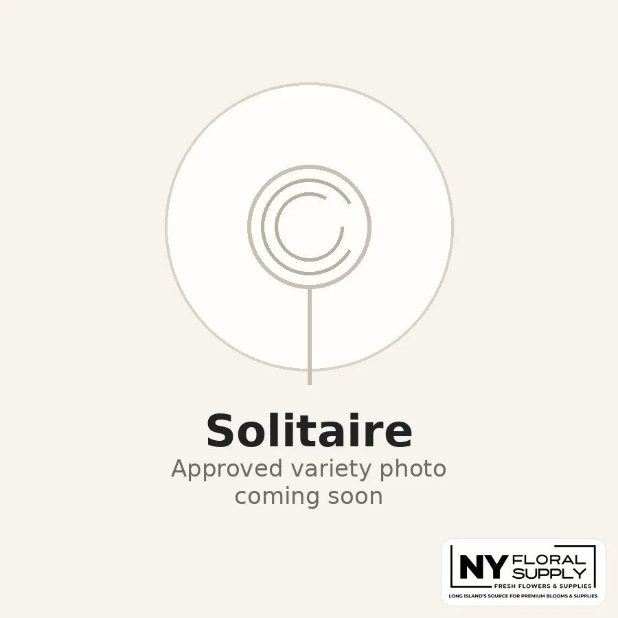 solitaire.jpg
