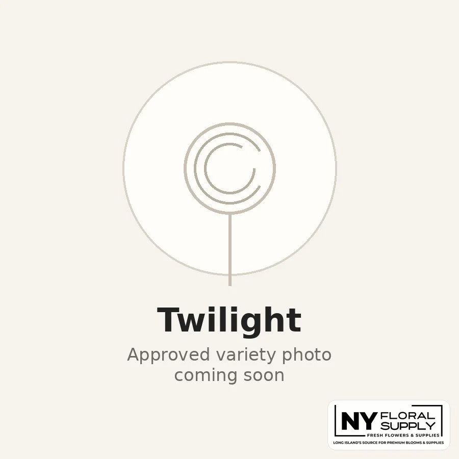 twilight.jpg