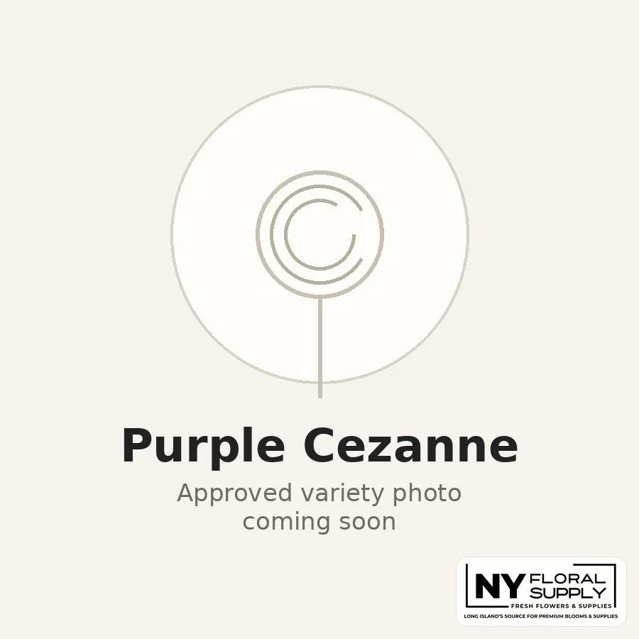 purple-cezanne.jpg