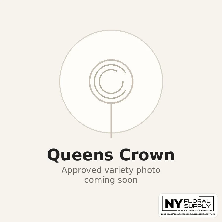 queens-crown.jpg