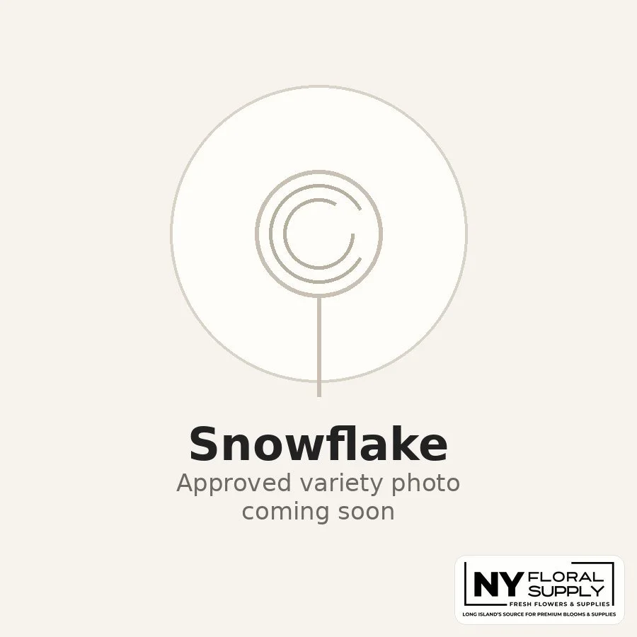 snowflake.jpg
