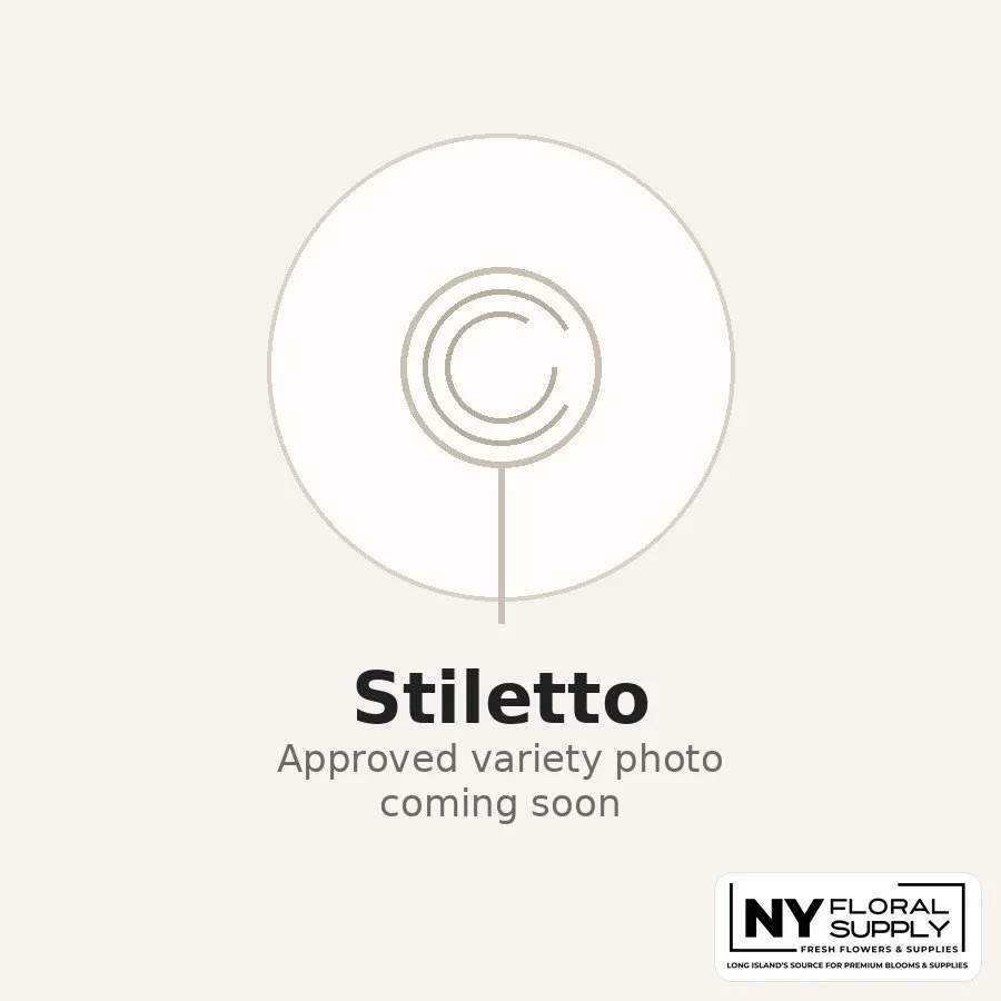 stiletto.jpg