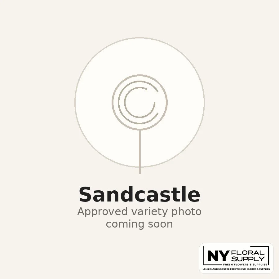 sandcastle.jpg
