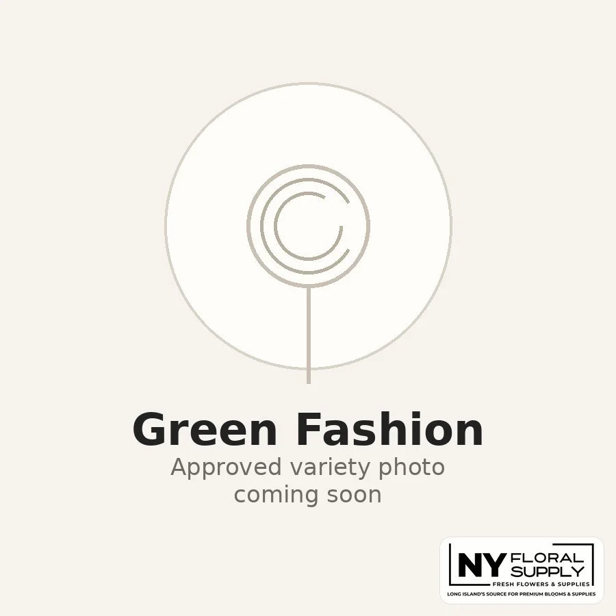green-fashion.jpg