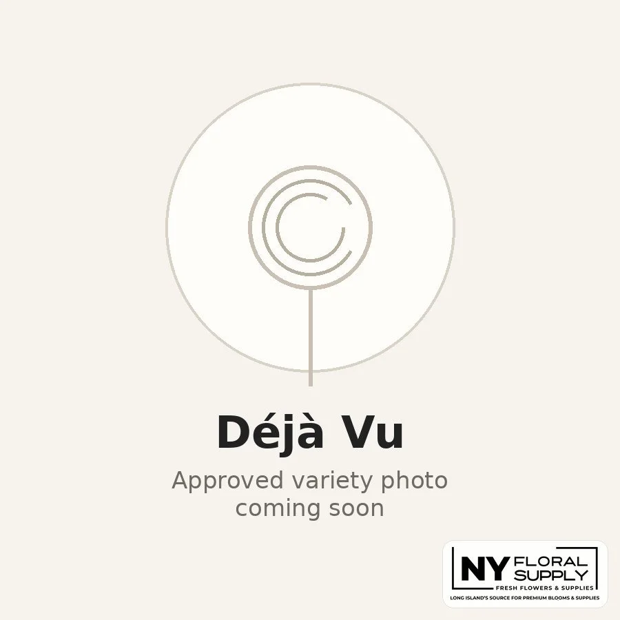 deja-vu.jpg