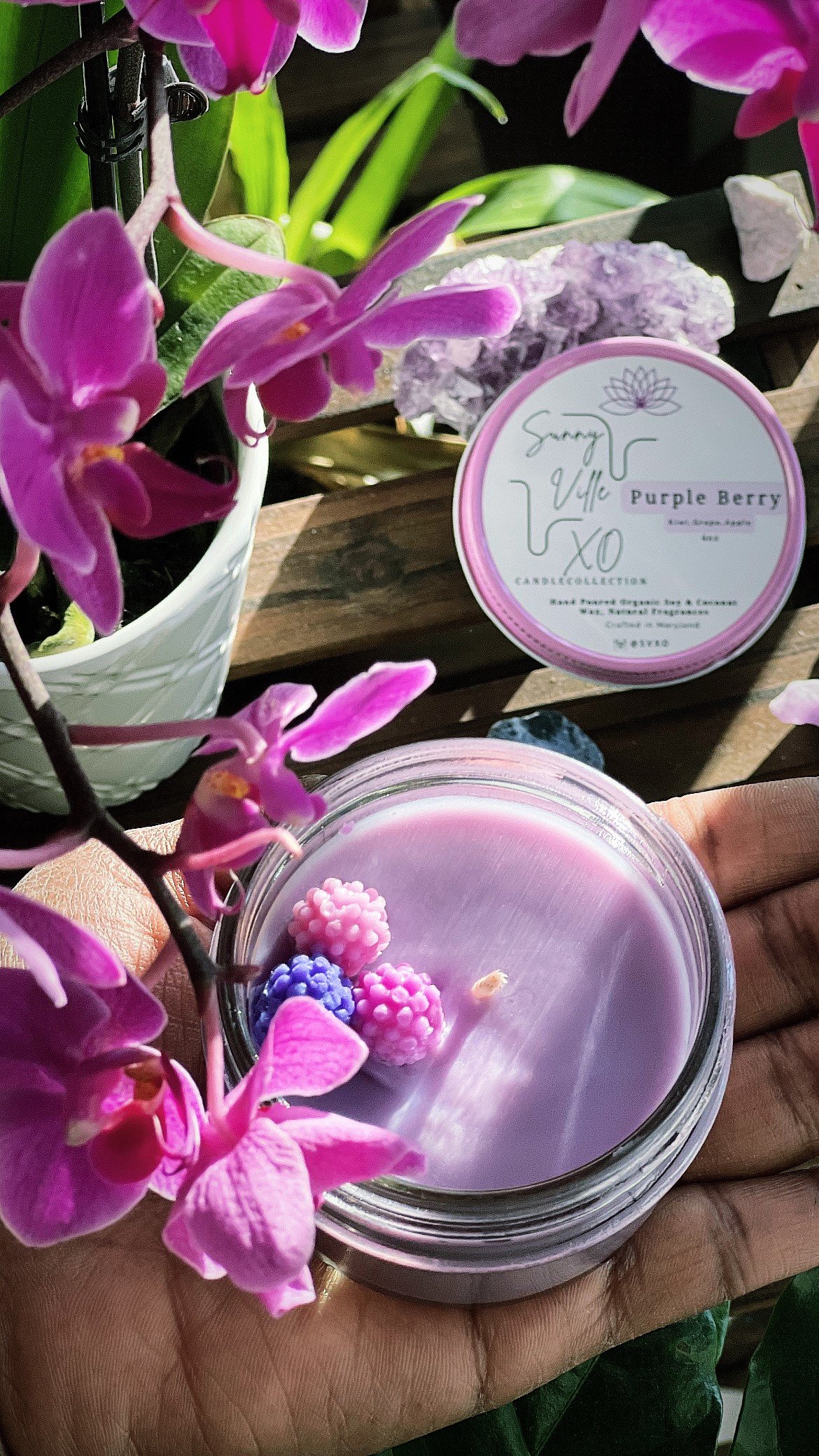 Purple Berry