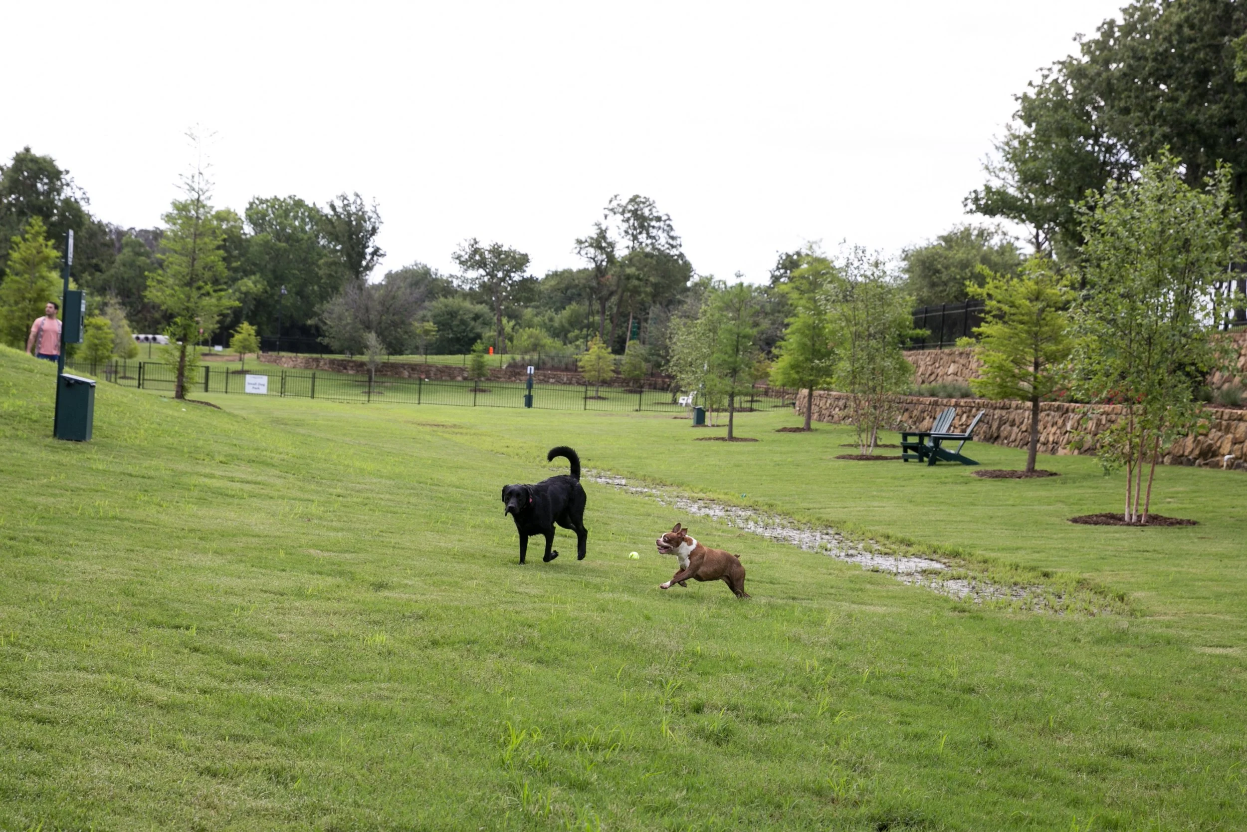 Lakeside Dog Park Grand Opening - Spring 2017-58.jpg