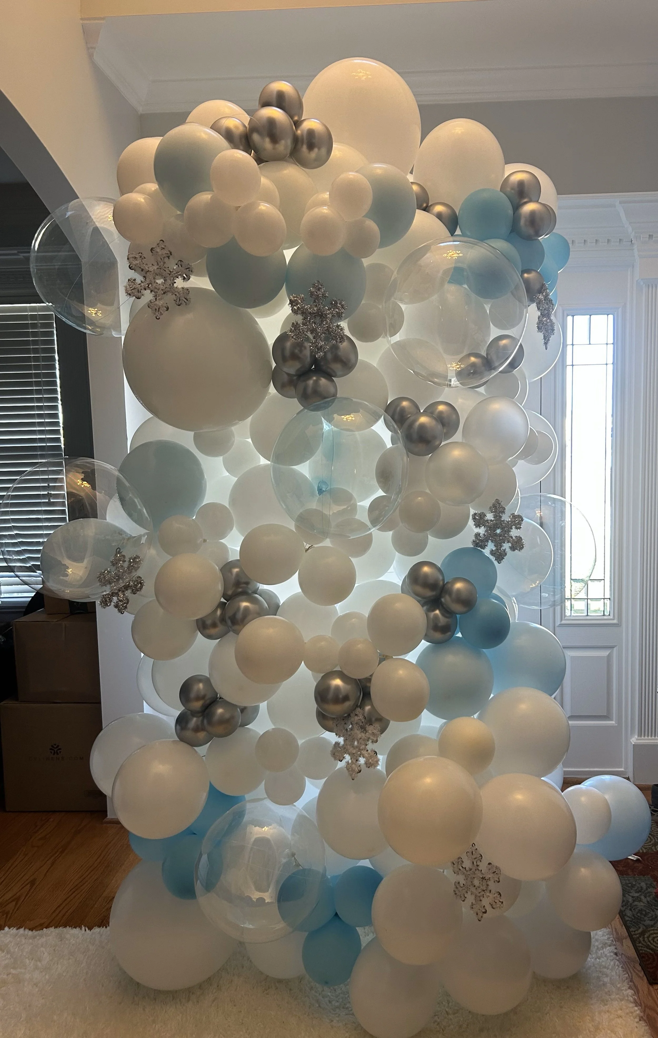 Winter Wonderland Backdrop.jpg