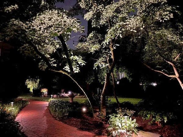 Light Up the Night: How Outdoor Lighting Can Transform Your Landscape