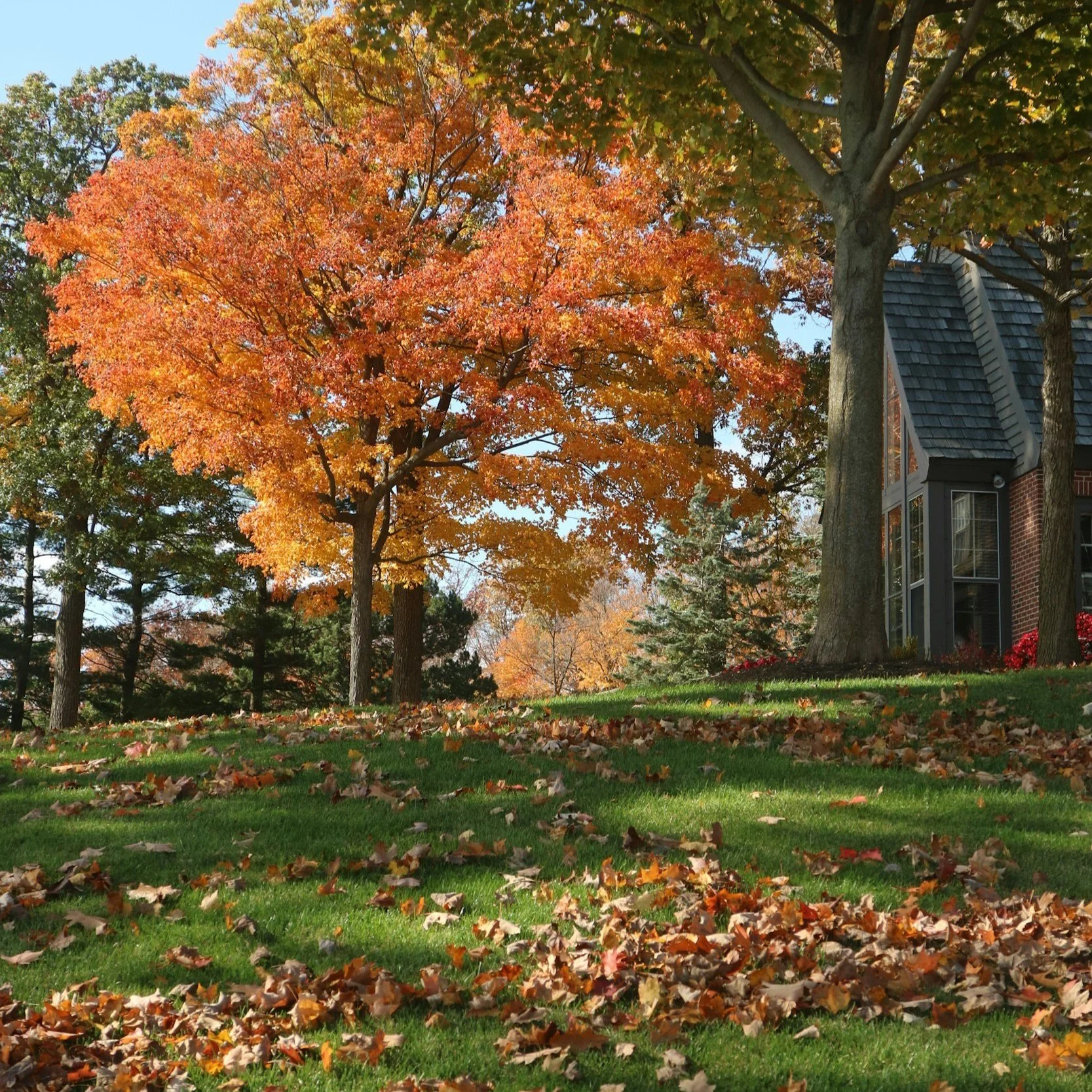 Fall Irrigation Tips – Prepare Your Lawn and Garden for Cooler Weather