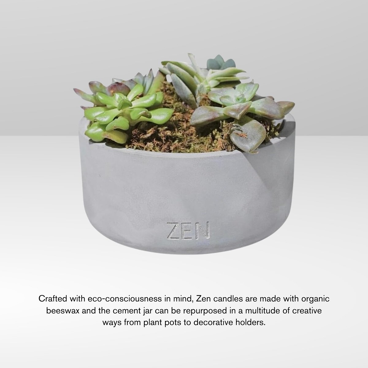 Give your Zen Candle a new purpose 🪴♻️
