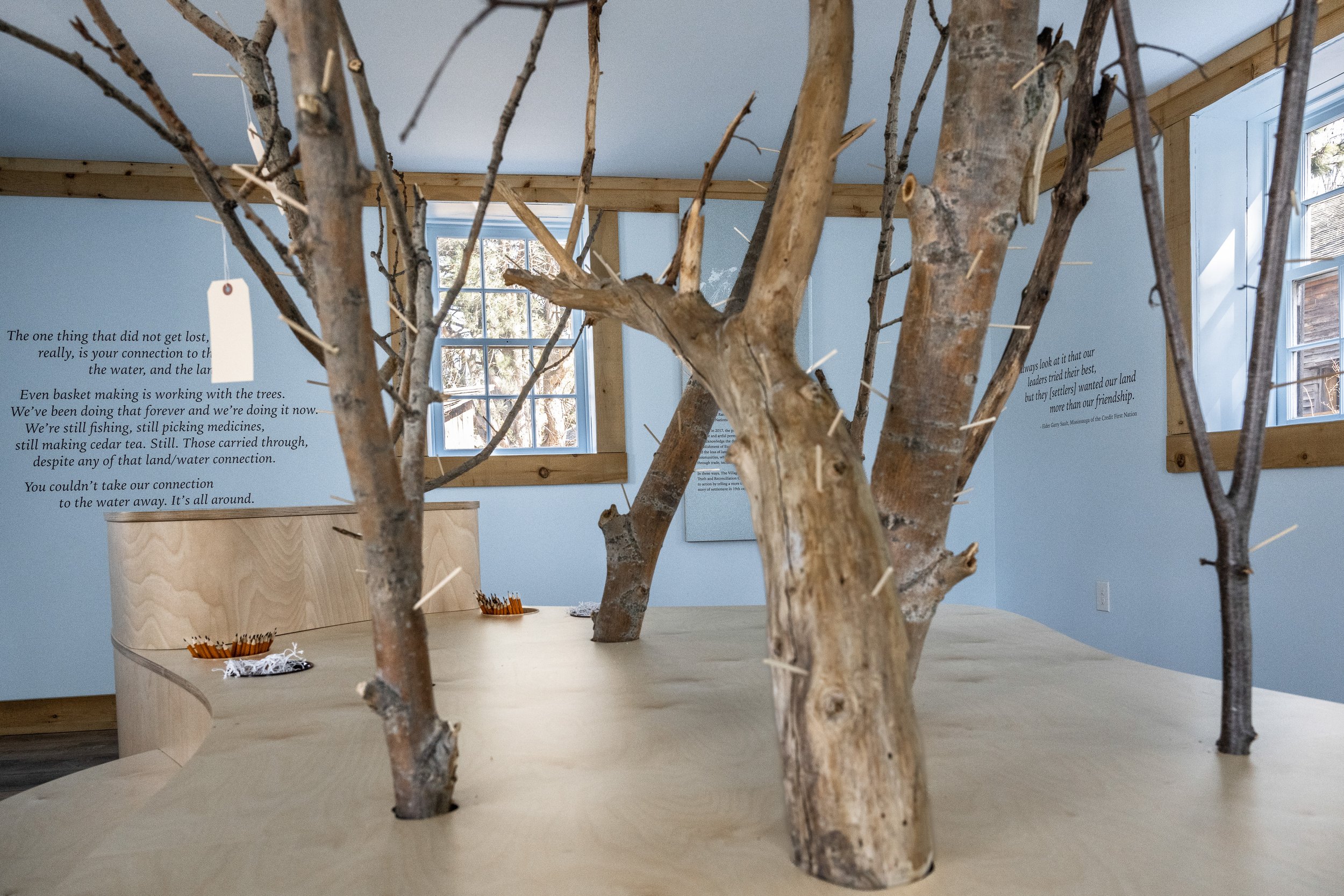 17-DSC_0135.jpg