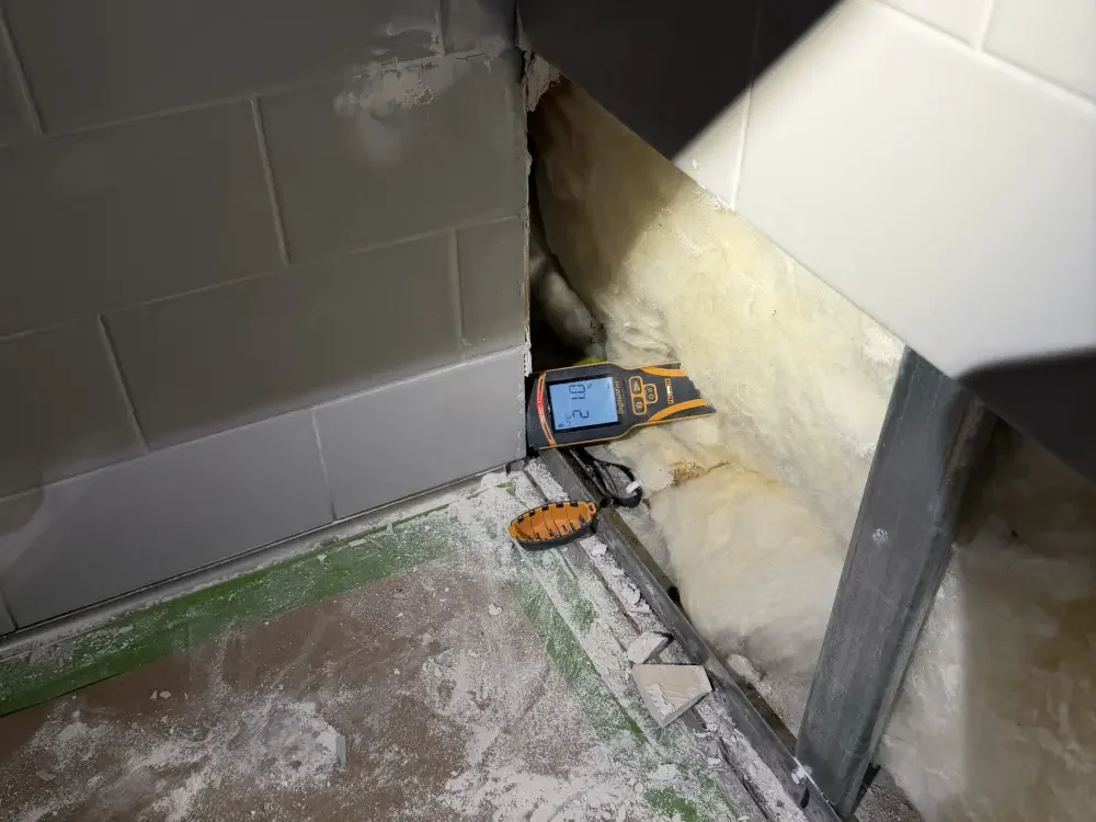 moisture-meter-wet-insulation-reading.webp