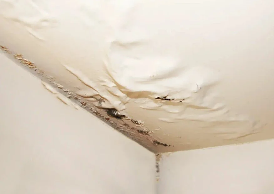 Black mold growing on the ceiling and walls in the corner of a home from water damage.